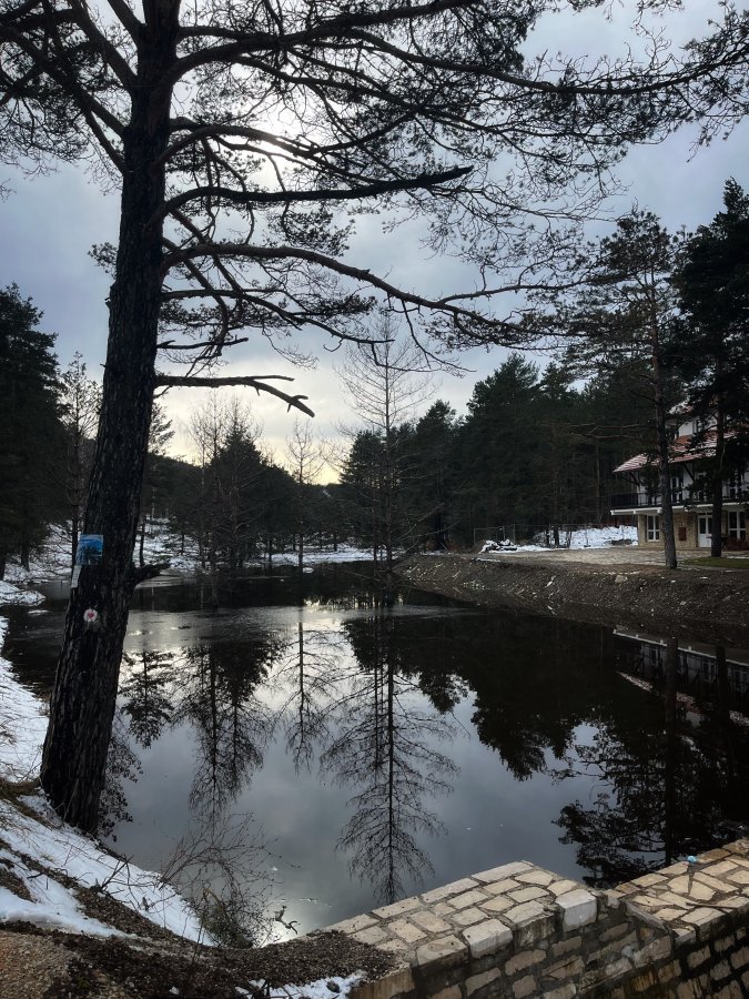 Divčibare (Planinski vrhovi) — glavna fotografija