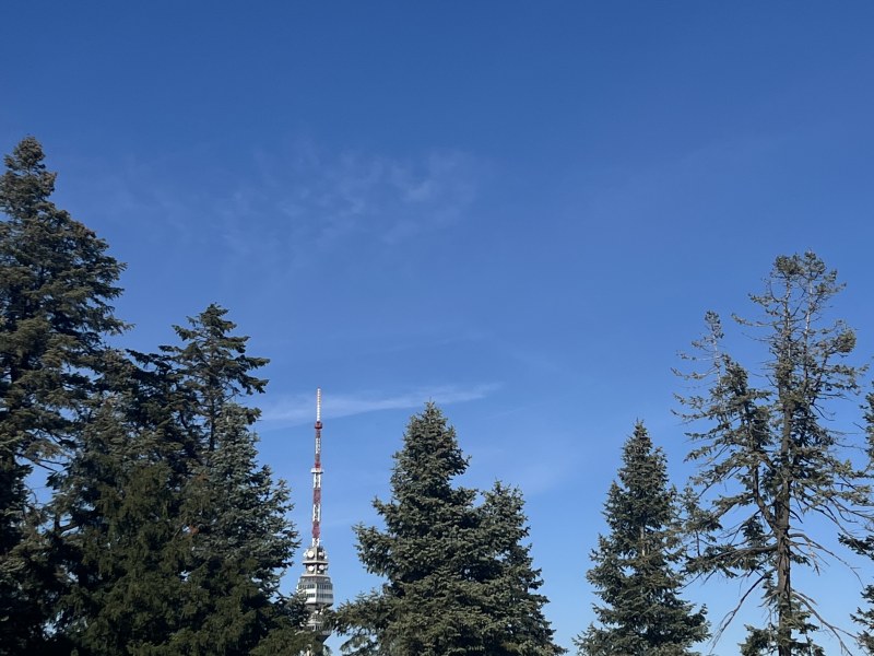 Avala