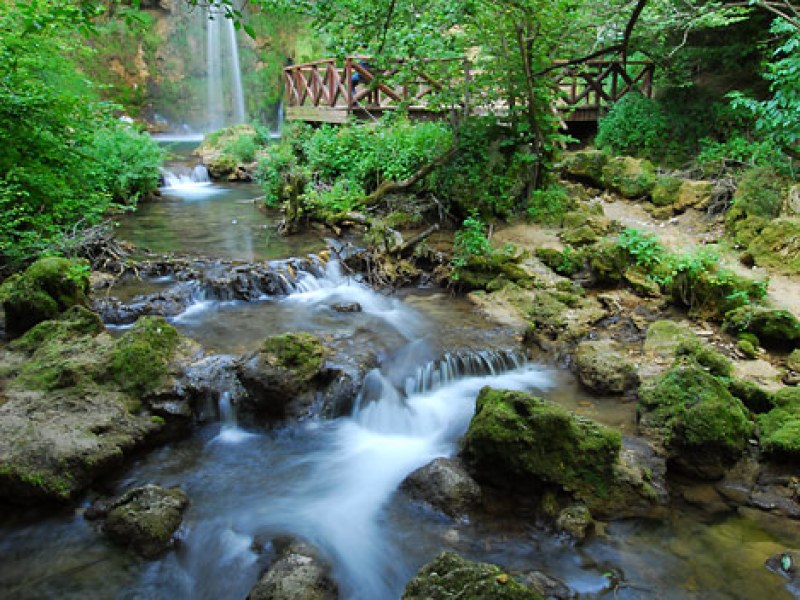 Veliki Buk (Lisine) — fotografija 3
