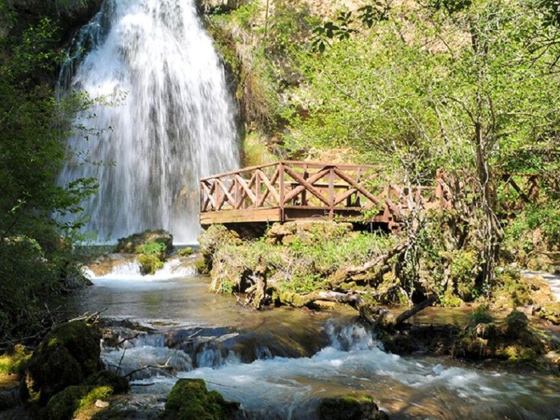 Veliki Buk (Lisine) — fotografija 2