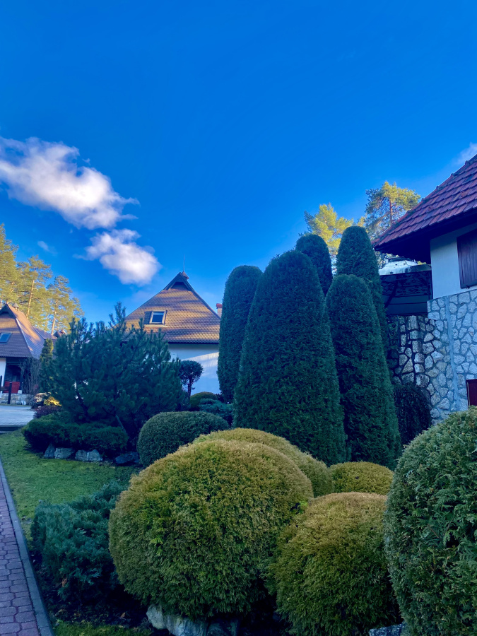 Zlatibor (Planinski vrhovi) — glavna fotografija