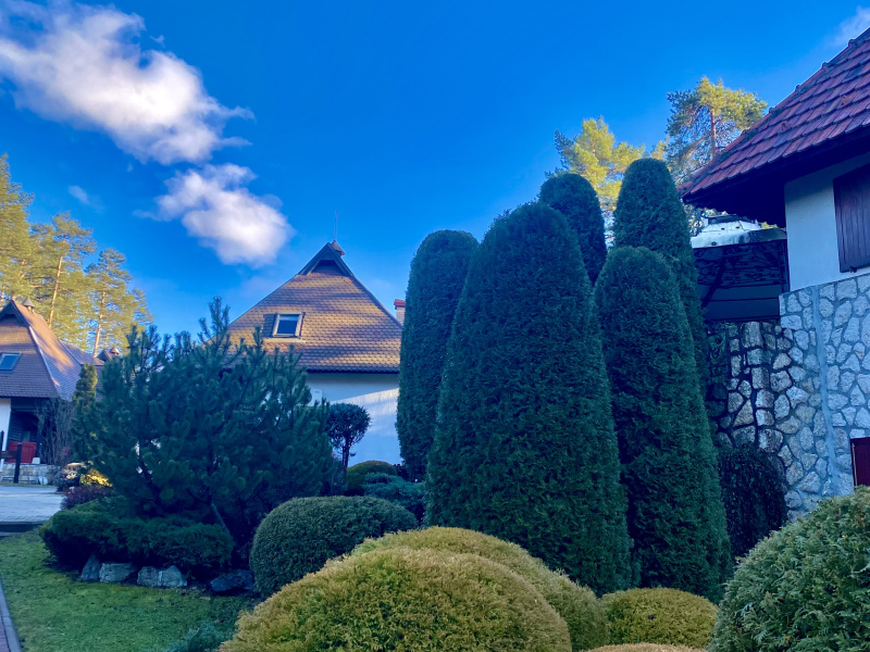 Zlatibor