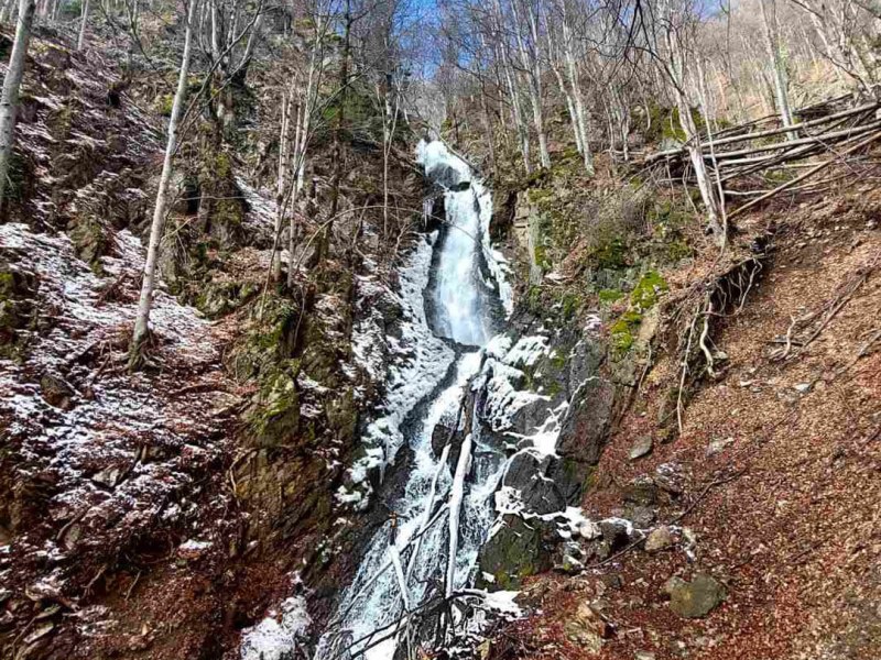 Jelovarnik