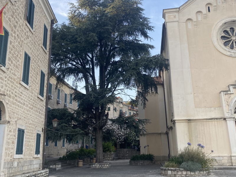 Herceg Novi — fotografija 3