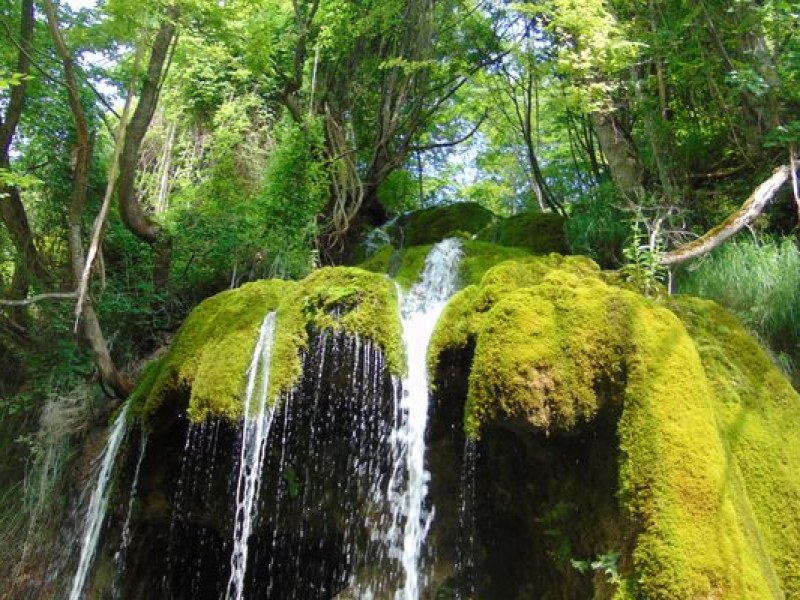 Sopotnički vodopadi — fotografija 2