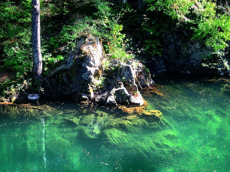 Reka Rzav (plaža Urjak)